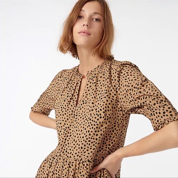 Oversized, JCrew Leopard Dot Ruffleneck Tiered Popover Dress - Picture 2 of 16